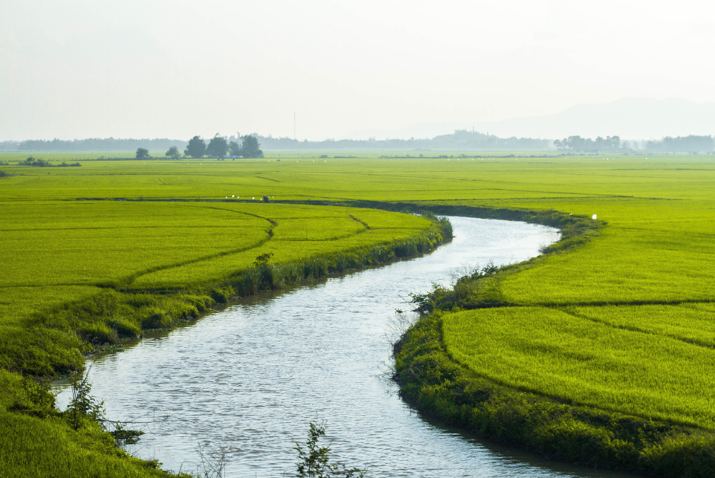 Uncover How to Say River in Japanese – Simple Language Guide