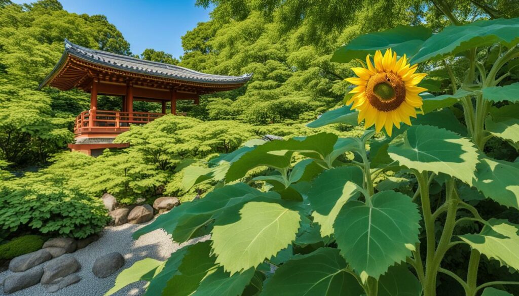 how to say sunflower in japanese